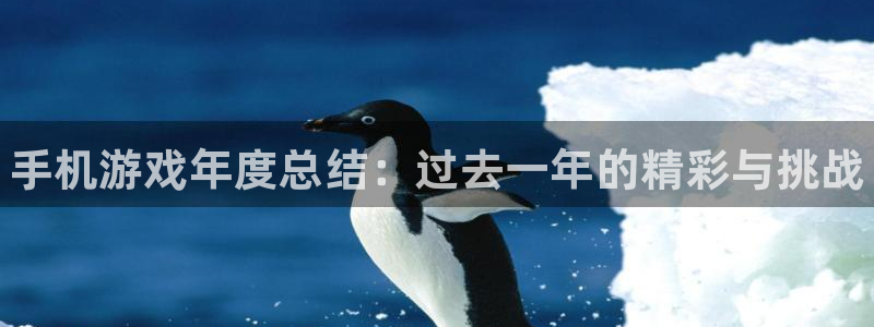 高德娱乐网页登录入口官网：手机游戏年度总结：过去一年的精彩与