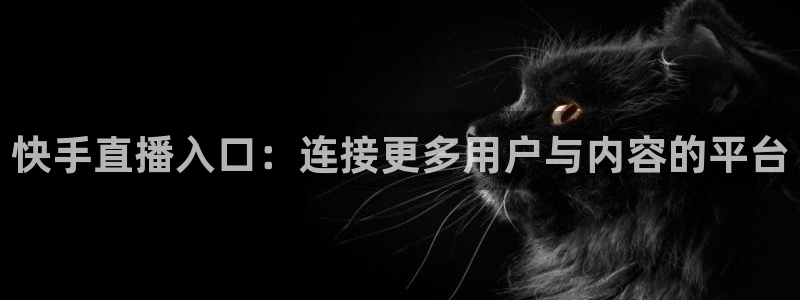 劲爆体育在线高清直播nba