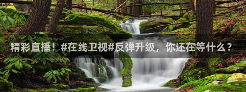 下载劲爆体育在线直播：精彩直播！#在线卫视#反弹升级，你还在等什么？