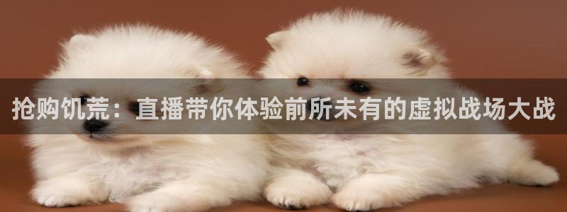 劲爆体育频道高清直播：抢购饥荒：直播带你体验前所未有的虚拟战场大战