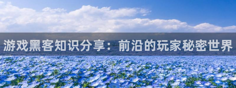 高德娱乐4主管：游戏黑客知识分享：前沿的玩家秘密世界