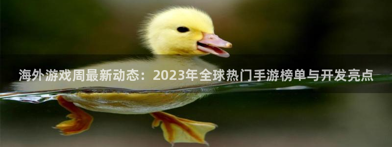 高德娱乐线路测试