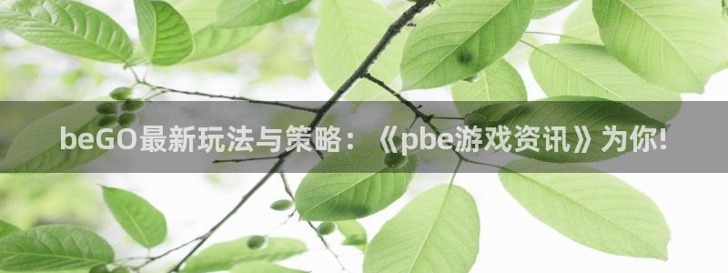 高德娱乐登陆地址：beGO最新玩法与策略：《pbe游戏资讯》
