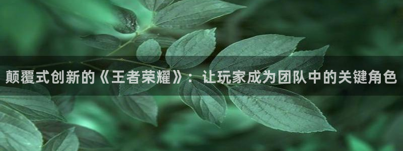 高德娱乐登陆