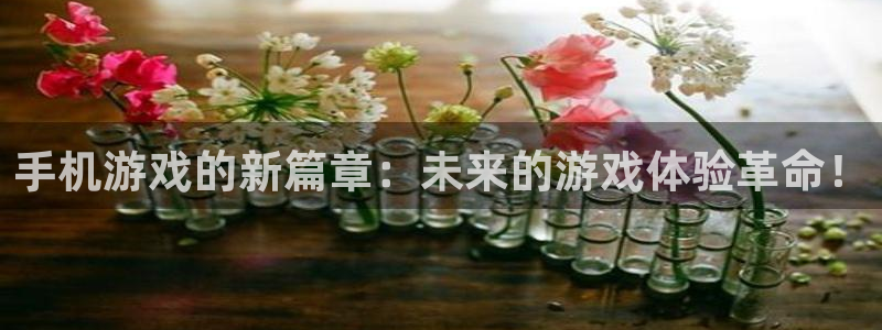 高德娱乐平台：手机游戏的新篇章：未来的游戏体验革命！