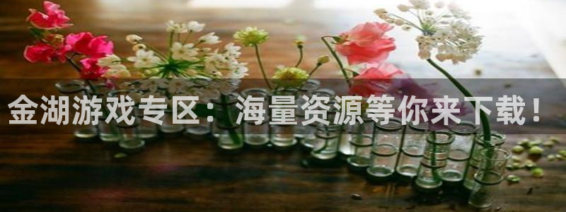 高德娱乐升级5994月：金湖游戏专区：海量资源等你来下载！