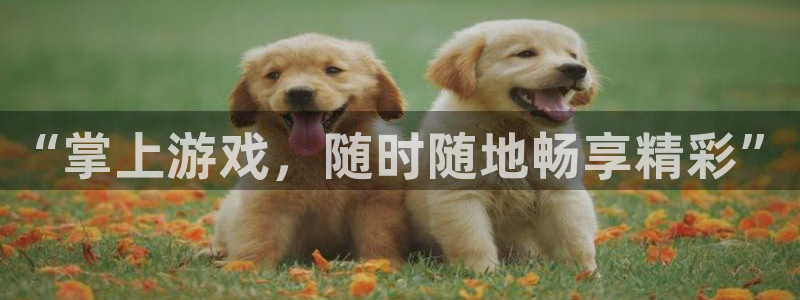 高德娱乐游戏：“掌上游戏，随时随地畅享精彩”