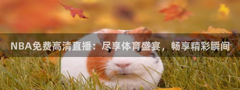 劲爆nba直播