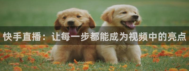 劲爆体育免费直播nba新的好游戏.认证网.org