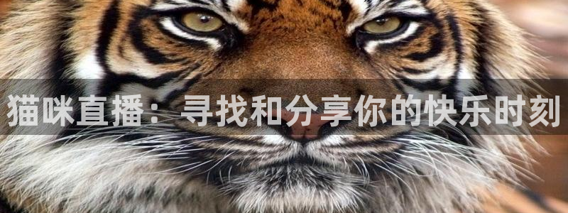 劲爆体育nba直播视频