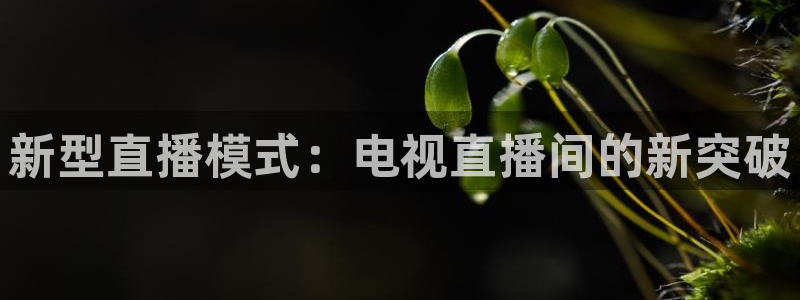 劲爆体育在线直播nba直播：新型直播模式：电视直播间的新突破