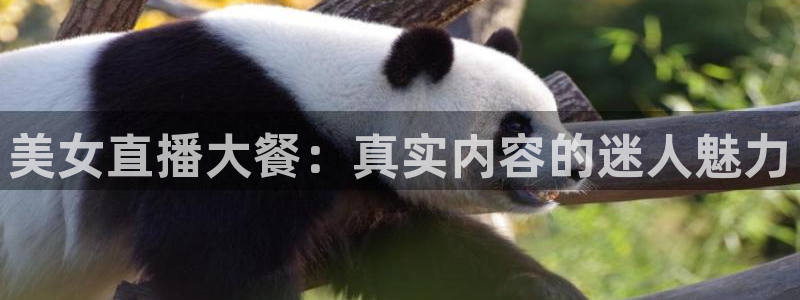 劲爆体育nba直播吧：美女直播大餐：真实内容的迷人魅力