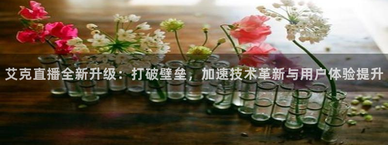 劲爆体育电视直播：艾克直播全新升级：打破壁垒，加速技术革新与用户体验提升