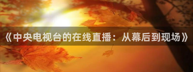 劲爆体育nba直播：《中央电视台的在线直播：从幕后到现场》