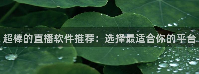 劲爆体育直播nba节目表：超棒的直播软件推荐：选择最适合你的平台